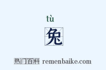 兔是什么意思的图片